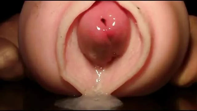 ஒரு இளம் அழகி ஃபோட்டோஷூட்