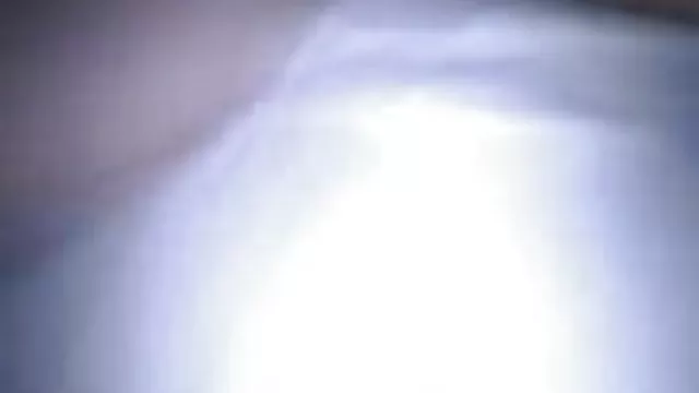 பிடித்த மிட்டாய்
