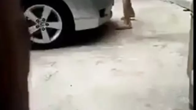 ஒரு பெல்ட் மற்றும் நக்கிய புண்டையால் குத்தப்பட்டது