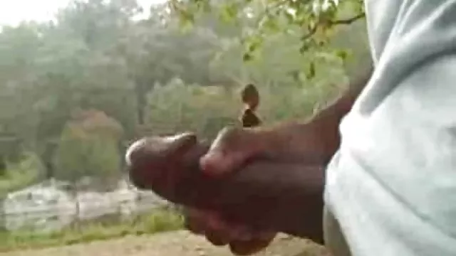 பிட்ச் உடலுறவில் ஈடுபட்டு உறிஞ்சப்படுகிறார்