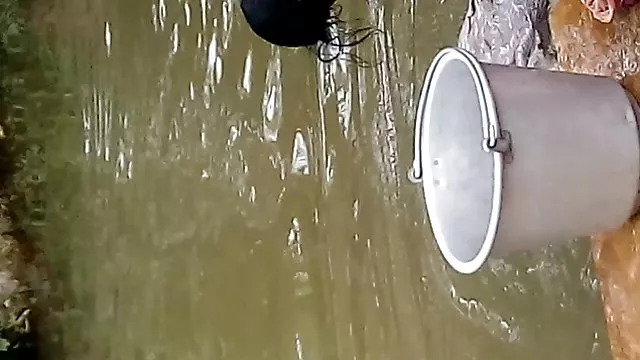 மனைவி அதிர்வு