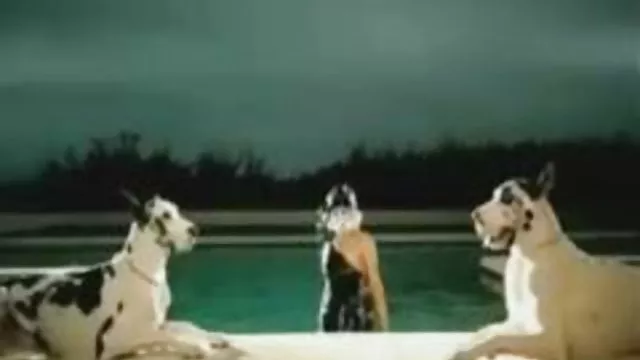 டைட்ஸ் போட்டு, நான் உள்ளாடைகளை அணிய மறந்துவிட்டேன்
