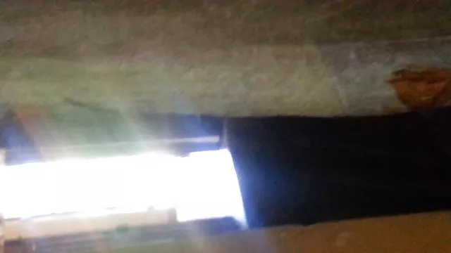 பட் பிளக் கொண்ட தனி பெண்