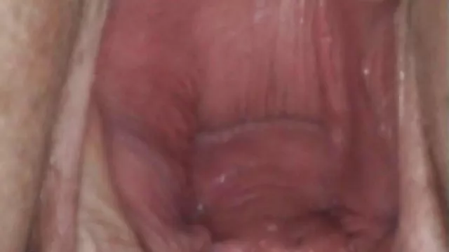 பெரிய எல்டோவின்ஸ்